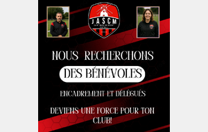 Recherche bénévoles : encadrement et délégués